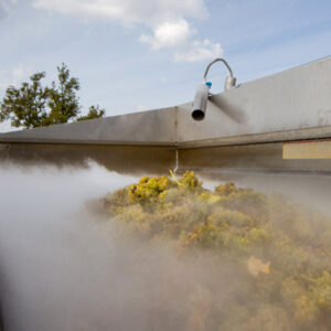 CasalFarneto-Verdicchio-Tecnologia